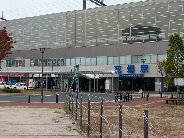 �Ԕ��̗�����