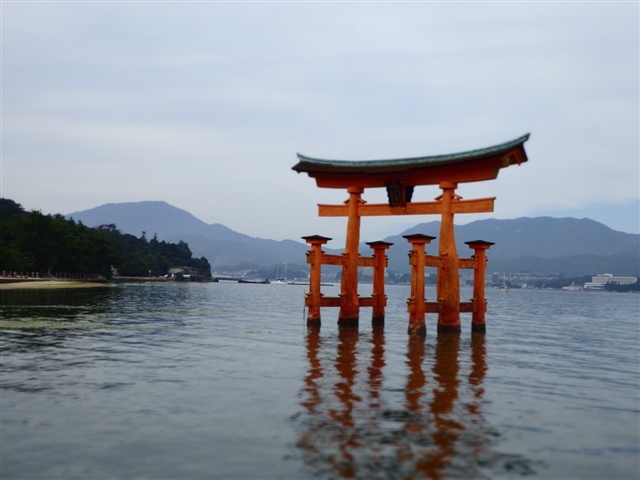 �����_��